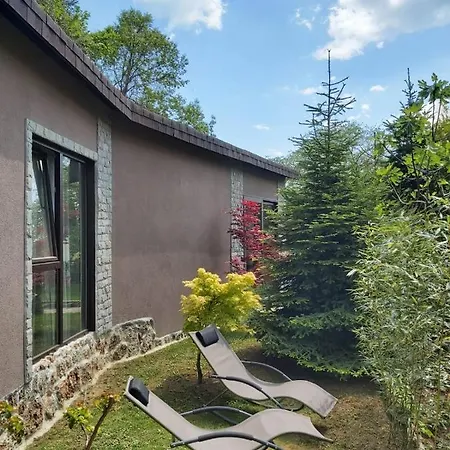 Guest Flirt Złote Piaski