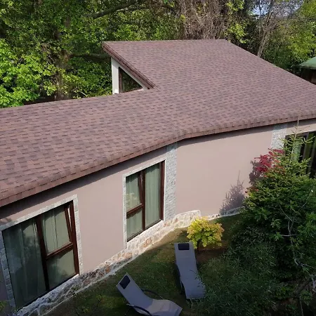 Guest Flirt Zlate písky