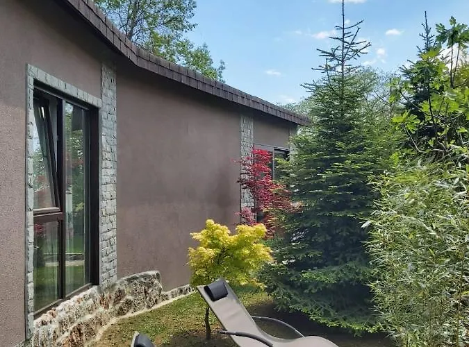 Guest Flirt Zlate písky