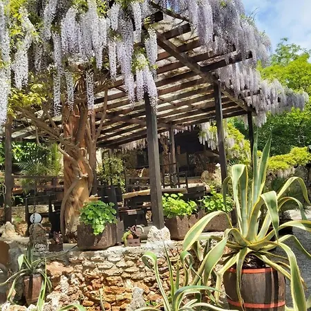 Guest Flirt Szálloda