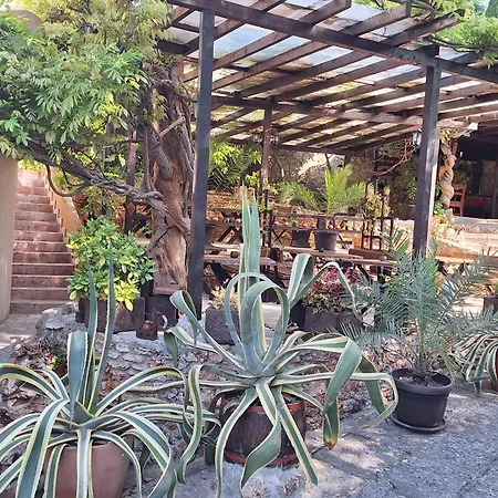 Guest Flirt Отель Золотые Пески