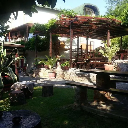 Отель Guest Flirt