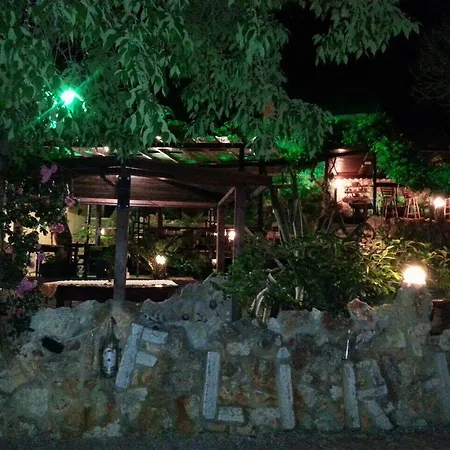 Guest Flirt Aranyhomok