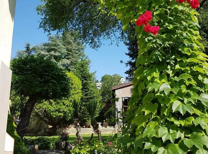 酒店 Guest Flirt *